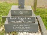 image of grave number 647957